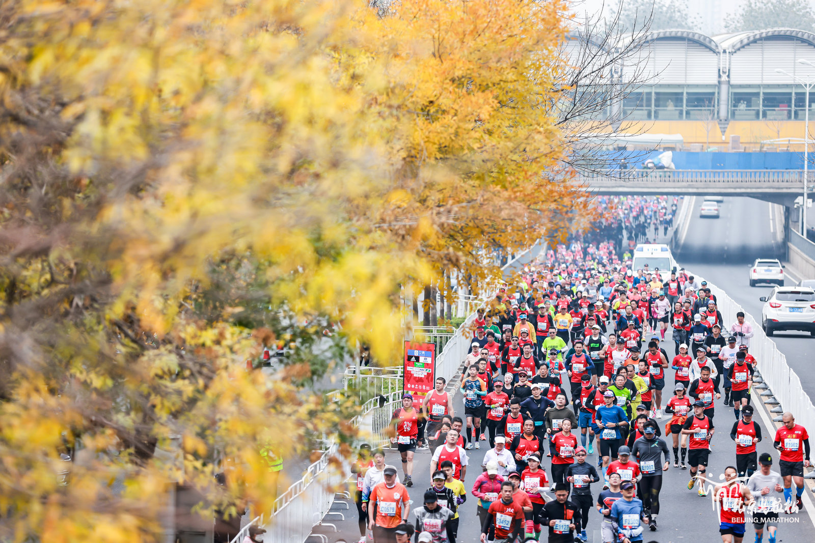 清晨的北京薄雾中，北京马拉松四十周年落幕，
