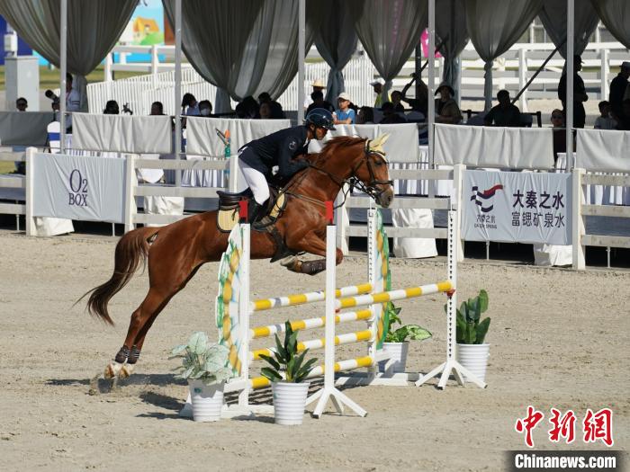 江苏队包揽马术三项赛团体与个人双冠 陕西队晋